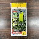 最安値挑戦中 IVY NEW虫バンバン 20枚入 粘着式 捕虫シート 吊り下げ用 害虫駆除 園芸 ガーデニング 送料無料