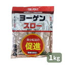 最安値挑戦中 タキイ ヨーゲンスロー 1kg 肥料 家庭菜園 園芸 ガーデニング 送料無料