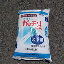 最安値挑戦中 ガッチリくんねぎ用 50L 草花 野菜 家庭菜園 園芸 ガーデニング 送料無料