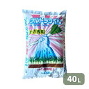 最安値挑戦中 ウルトラソイル ねぎ専用 40L 培土 肥料 ねぎ 種まき 野菜 家庭菜園 園芸 ガーデニング 送料無料