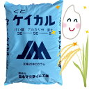 最安値挑戦中 日本マグライム工業 くどケイカル 細粒 20kg ケイカル ケイ酸 苦土 アルカリ分 水稲 たまねぎ 土壌改良 肥料 野菜 家庭菜園 園芸 ガーデニング 送料無料