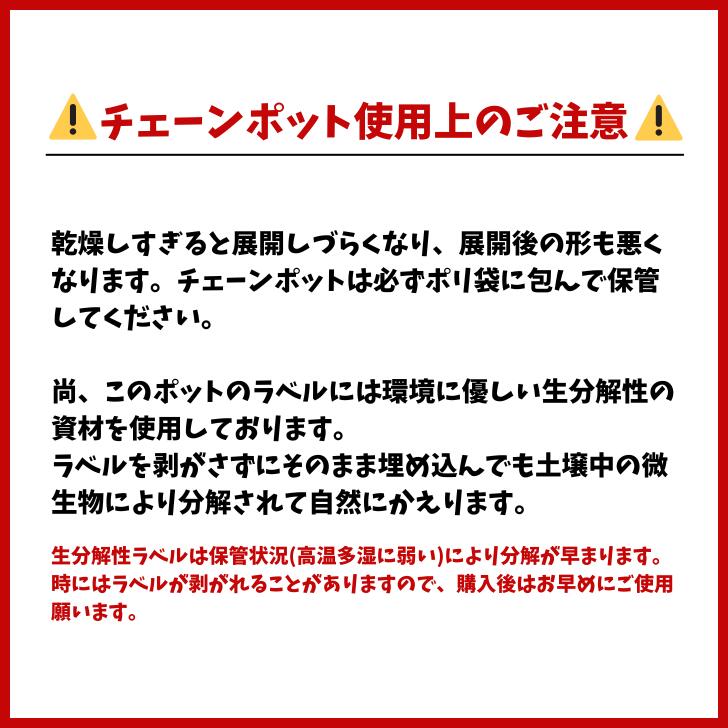 最安値挑戦中　ニッテン チェーンポット CP303 口径3cm 高さ3cm 穴数264本 10冊入 ...