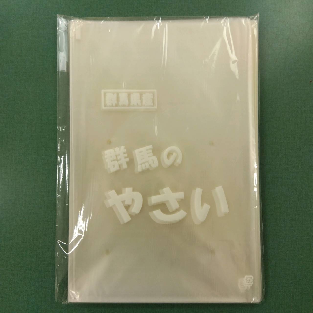 楽天スーパーSALE 【群馬県産】 FG 群馬のヤサイ11号 4穴 #20 100枚 家庭菜園 園芸 ガーデニング 送料無料
