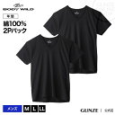 グンゼ Vネック Tシャツ メンズ 年間 ボディワイルド 半袖 V首 2P インナー 肌着 BODY WILD GUNZE BW50152 M-LL GUNZE11