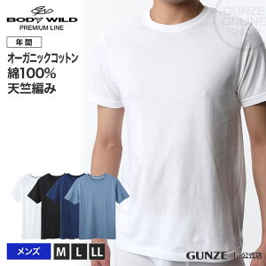 【当店全品P10倍】 セール SALE アウトレット BODY WILD ボディワイルド GUNZE グンゼ プレミアムライン クルーネックTシャツ 丸首 紳士 年間シャツ BWN113P ブランド メンズ 肌着 半袖 紳士 無地 シンプル 白 ホワイト 黒 ネイビーブルー M-LL 宮津 GUNZE11