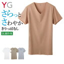 グンゼ VネックTシャツ メンズ 春夏 半袖 紳士 肌着 抗菌 防臭 きりっぱなし カットオフ 透けにくい ひびきにくい スッキリ シンプル YG ワイジー YV1915 M-LL