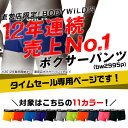 【タイムセール専用】 BODYWILD ボディワイルド ローライズボクサー 前閉じ メンズ 年間 GUNZE グンゼ 直営店限定 ボクサーパンツ ローライズ 大きいサイズ S-3L BW2995P SET2995 3