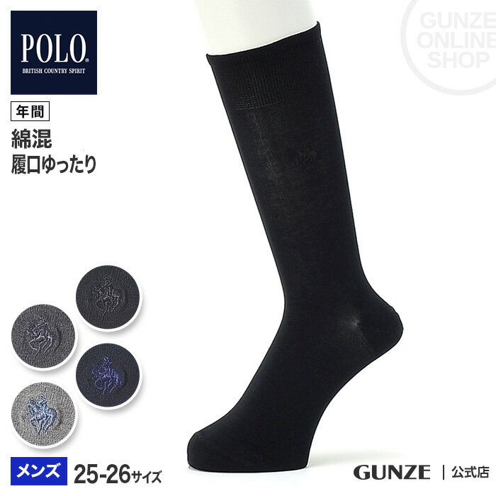 GUNZE グンゼ POLO BCS ポロビーシーエス ビジネスソックス メンズ PL0133 25-26 紳士靴下 オフィス 就職活動 オンタイム シンプル 仕事用 消臭加工 つま先補強 ソフトくちゴム はきやすい 年間 無地 男性用 ブラック 黒 グレー GUNZE91