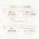 グンゼ 直営店限定 綿100% キャミソール レディース 日本製 オーガニックコットン 乾燥機 低刺激 洗濯タグなし 下着 肌着 婦人 インナーシャツ トップス 定番 シンプル 人気 ザグンゼ the GUNZE CK2656 M-LL 3