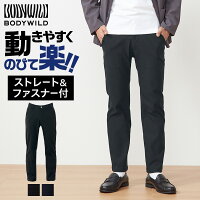 GUNZE グンゼ BODY WILD ボディワイルド レーヨン混ストレートパンツ メンズ BDN111 S M L LL アウターパンツ ファスナー ベルトループ 伸縮性 ストレッチ 動きやすい デイリー 仕事 オフィス ビジネス カジュアル 年間 GUNZE91