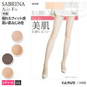 L-LLサイズ SABRINA ストッキング Acti-Fit 美肌 GUNZE グンゼ サブリナ レディース SB710L アクティフィット 就活 就職活動 UV デオドラント 消臭 つま先補強 フィット 美脚 足型セット 伝線しにくい ビジネス 無地 パンスト 美肌 anan掲載 年間 GUNZE21