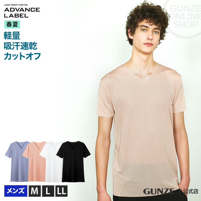 アウトレット セール GUNZE グンゼ ADVANCE LABEL アドバンスレーベル Vネック Tシャツ メンズ MA9015 M-LL V首 インナー 吸汗速乾 汗 天竺 涼しい 無地 ホワイト 白 黒 M-LL 春夏 GUNZE11