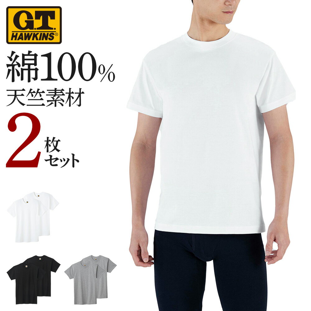 ホーキンス クルーネック 天竺 Tシャツ 2枚セット メンズ 年間 綿100 半袖 丸首 シンプル 無地 2枚組 2P M-LL G.T.HAWKINS GUNZE グンゼ HK10132