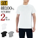 ホーキンス クルーネック 天竺 Tシャツ 2枚セット メンズ 年間 綿100 半袖 丸首 シンプル 無地 2枚組 2P M-LL G.T.HAWKINS GUNZE グンゼ HK10132