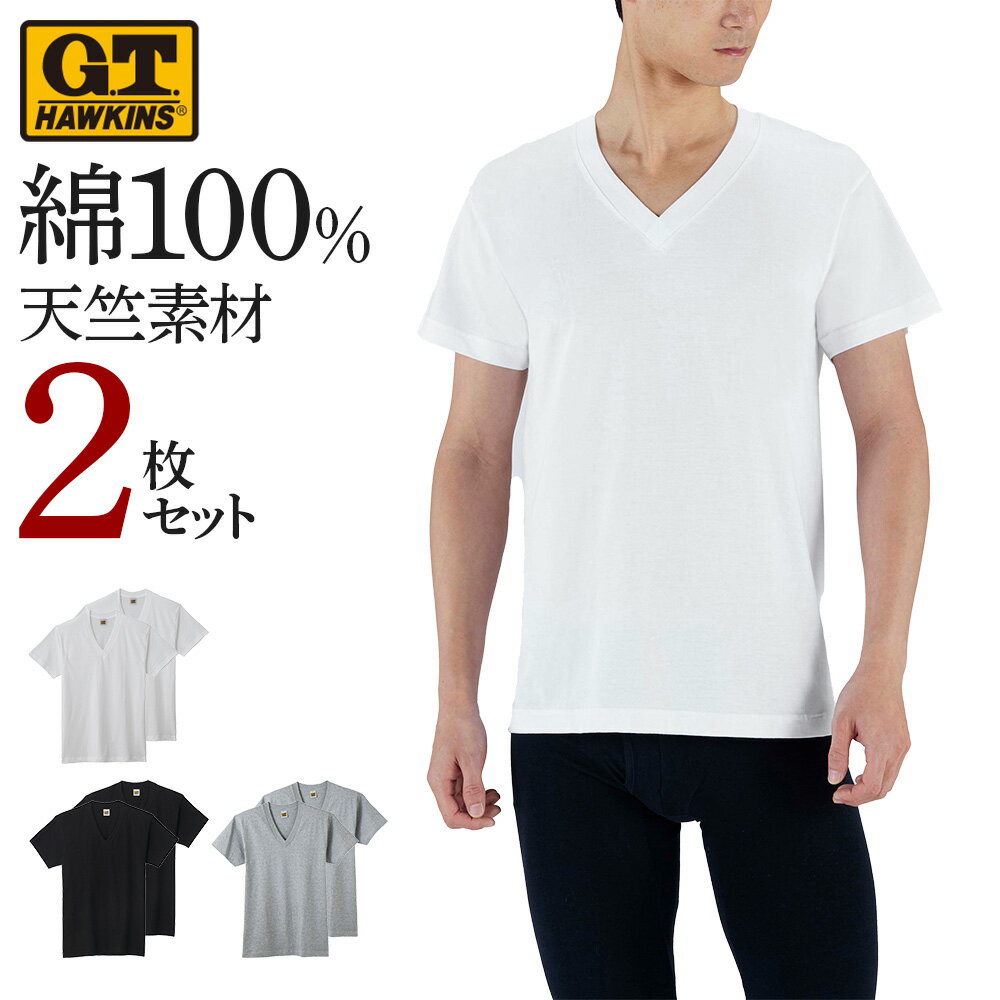 ホーキンス Vネック 天竺 Tシャツ 2枚セット メンズ 年間 綿100 半袖 V首 シンプル 無地 M-LL G.T.HAWKINS GUNZE グンゼ 2枚...