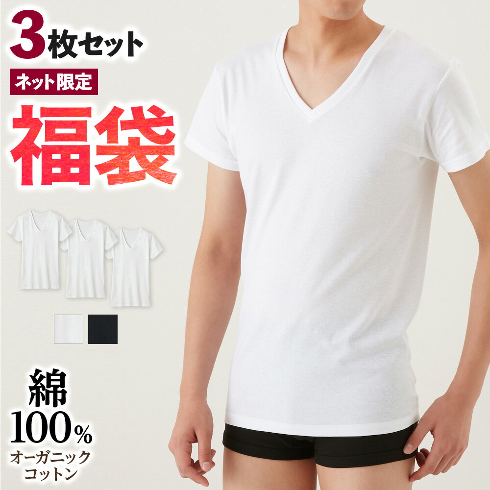 グンゼ VネックTシャツ 3枚セット メンズ 年間 綿100％ 半袖 V首 オーガニックコットン インナー 肌着 洗濯タグ無し 低刺激 脇縫いなし 福袋 SETM9515 CK9515 S-LL GUNZE11