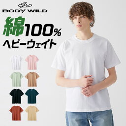 ボディワイルド ルームウェア メンズ アウトレット セール グンゼ Tシャツ ヘビーウェイト メンズ ボディワイルド 綿100% コットン 半袖 メンズインナー 厚地 天竺 丸首 ざっくり シンプル カジュアル ギフト プレゼント BODY WILD BW5213 M-LL