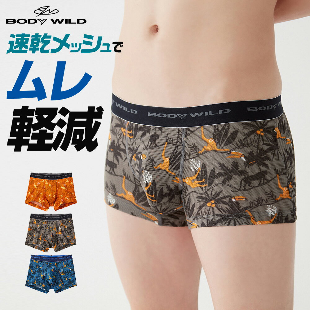 アウトレット セール グンゼ ボクサーパンツ メッシュ 前閉じ ストレッチ 柄パン メンズ 春夏 ボディワイルド BODYWILD 速乾 ドライ 涼しい ムレ軽減 パンツ 下着 アンダーウェア BWC090J M-L GUNZE11のサムネイル