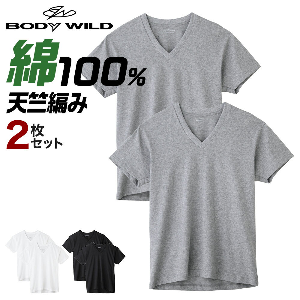 グンゼ Vネック Tシャツ 綿100 V首 2枚組 メンズ 年間 ボディワイルド 2P 半袖 インナー 定番 ベーシック メンズインナー 無地 2枚セット 下着 肌着 BODY WILD GUNZE BW5015A M-LL