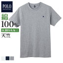 グンゼ Tシャツ ポロ POLO BCS 丸首 Tシャツ 綿 メンズ 年間 半袖 GUNZE 綿100% 抗菌防臭加工 無地 ベージック インナーシャツ PBM313 M-LL