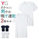 グンゼ 丸首 2枚セット メンズ 年間 YG ワイジー クルーネック Tシャツ 吸汗 速乾 抗菌防臭加工 ドライ インナー 綿混 肌着 下着 2P YV0113B M-LL