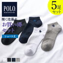 【まとめ買い割引】 ポロ POLO BCS ネット限定 お得 5足 セット 履く珪藻土 靴下 メッシュ 吸汗速乾 スニーカー丈 ソックス メンズ 紳士 男性 GUNZE グンゼ 25-27 PL0471