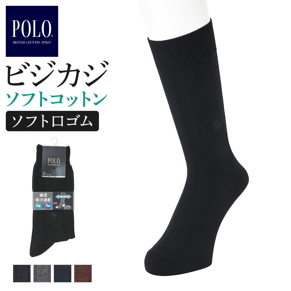 POLO BCS 綿混 くつ下 消臭加工 抗菌防臭加工 メンズ ソックス グンゼ ポロビーシーエス 年間 ストライプ柄 カジュアルソックス 靴下 吸汗速乾 つま先かかと破れにくい ズレにくい カジュアル ビジネス ビジカジ 25-27 PBU043