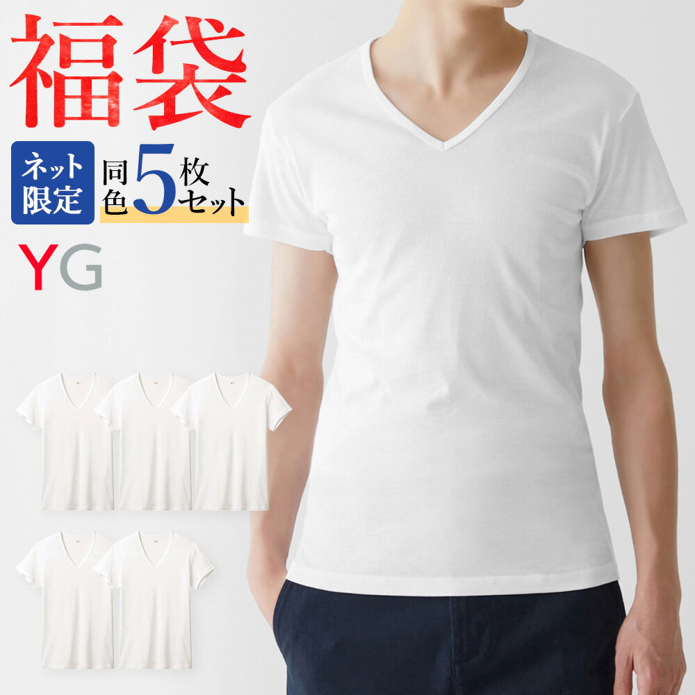 福袋 2024年 グンゼ YG 綿100% 半袖 V首 同色 5枚セット メンズ 年間 男性用 Vネック Tシャツ インナー 無地 白 肌着 下着 GUNZE11 FK24M006 M-3L 1