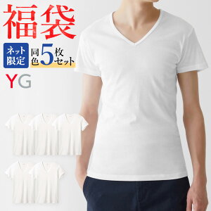 福袋 2024年 グンゼ YG 綿100% 半袖 V首 同色 5枚セット メンズ 年間 男性用 Vネック Tシャツ インナー 無地 白 肌着 下着 GUNZE11 FK24M006 M-3L