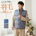 グンゼ 羽毛 羽織物 ベスト メンズ 紳士 男性 秋冬 あったか 暖かい あたたかい ダウン フェザー 襟元ボア 洗濯可 ポケット有り GUNZE S〜L SK...