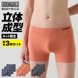 【まとめ買い割引】グンゼ ボディーワイルド ボクサーパンツ 3枚組 メンズ 立体成型 シームレス 前とじ 男性 紳士 下着 ボクサー パンツ アンダーウェア おしゃれ ストレッチ 楽 フィット 年間 3P BODYWILD ボディーワイルド GUNZE M L LL BWS853A bws853st