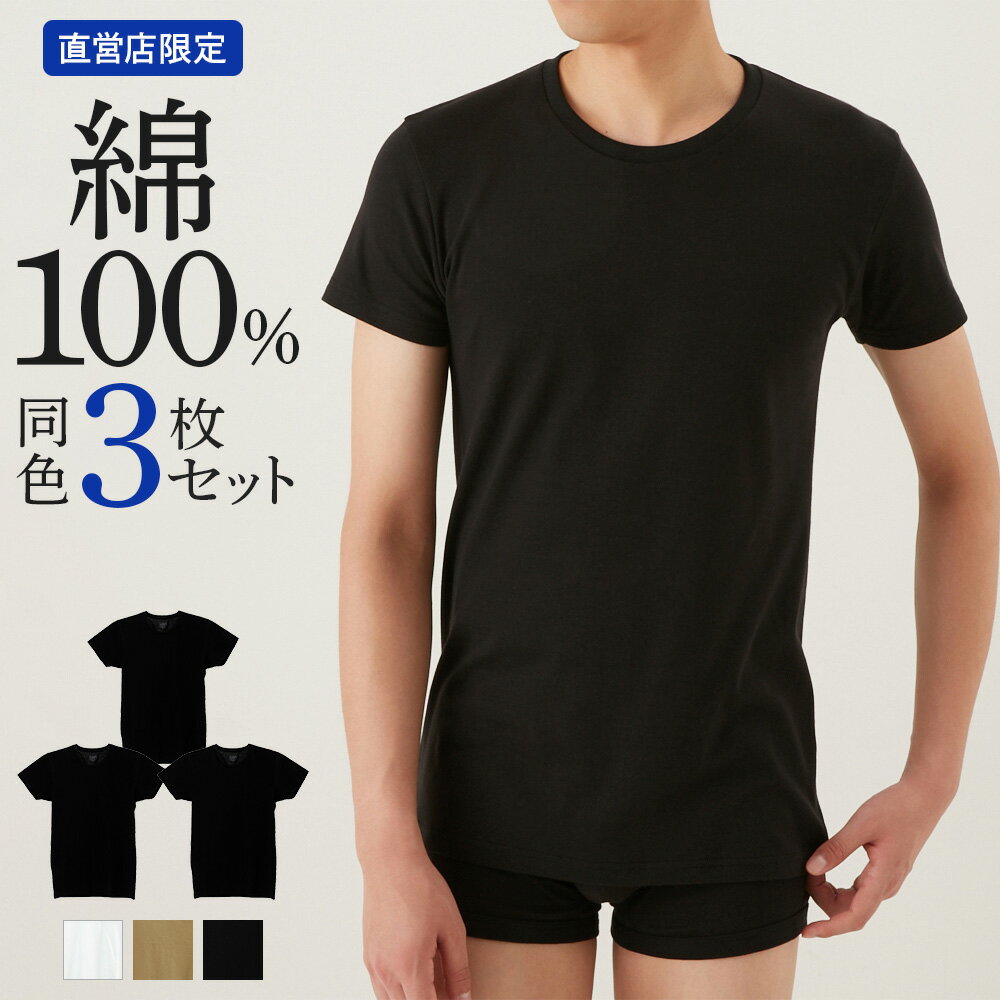 【まとめ買い割引】 グンゼ 直営店限定 インナーシャツ 3枚組 メンズ 綿100% 半袖 クルーネック 消臭 低刺激 乾燥機 下着 肌着 男性 紳士 トップス シャツ 無地 年間 通年 オールシーズン シンプル ロングセラー 3P 3枚セット 丸首 the GUNZE CK9013N ck9013st S M L LL 3Lのサムネイル
