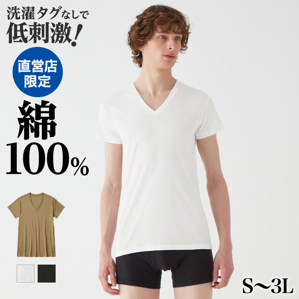 グンゼ 直営店限定 綿100% Vネック Tシャツ メンズ 消臭 洗濯タグ無し ひびきにくい すっきり 低刺激 V首 コットン インナー 肌着 下着 定番 シンプル メンズインナー 定番 人気 ギフトプレゼント ザグンゼ the GUNZE CK9015N S-L