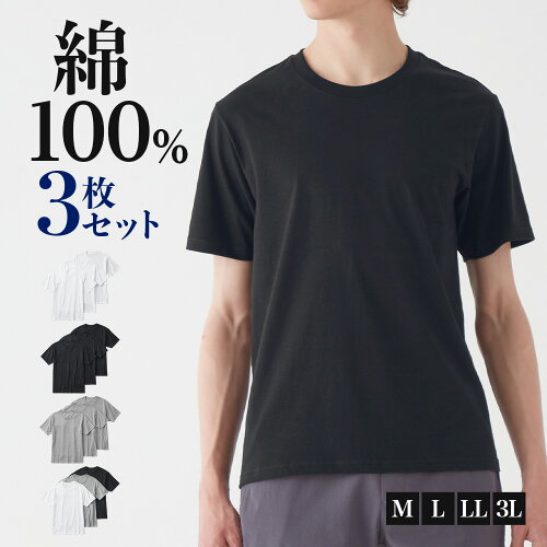 グンゼ公式 綿100% 天竺 Tシャツ 今よりちょっといい生活を。グンゼ ...