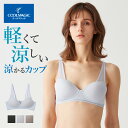 グンゼ ノンワイヤー ブラジャー レディース 春夏 夏用 メッシュ アンダーゴムなし 締め付けにくい 響きにくい 女性 婦人 下着 ワイヤレス ハーフトップ ブラ 軽い 涼しい サラサラ 楽 シンプ…