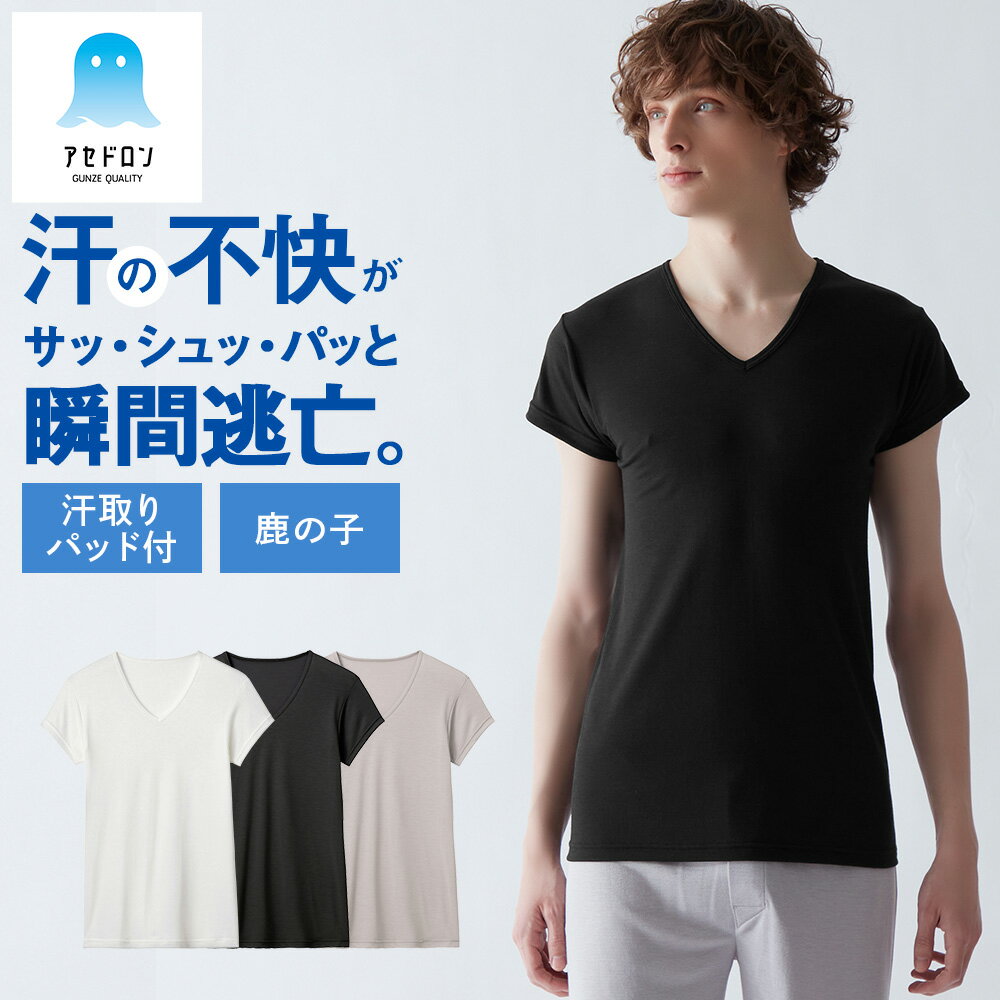 Hanes (ヘインズ) 2枚セット 抗菌防臭 タグレス コットン Vネック 半袖 アンダーTシャツ 5L BTHM1EY7045L 大きいサイズ メンズ 肌着 下着 アンダーシャツ インナー Tシャツ