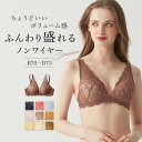 【期間限定!送料半額】【SALE】グンゼ ブラジャー ノンワイヤー レディース レース 盛りブラ 盛れる 谷間メイク 谷間 バストアップ バストメイク 小胸 かわいい 可愛い 補正下着 補正ブラ 補正 産後 ブラ 下着 Tuche GUNZE JB6035EC