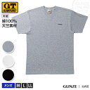 GUNZE(グンゼ)/G.T.HAWKINS(GTホーキンス)/VネックTシャツ(V首)(紳士)/HK2015/M・L・LL(M,L,LLサイズ)