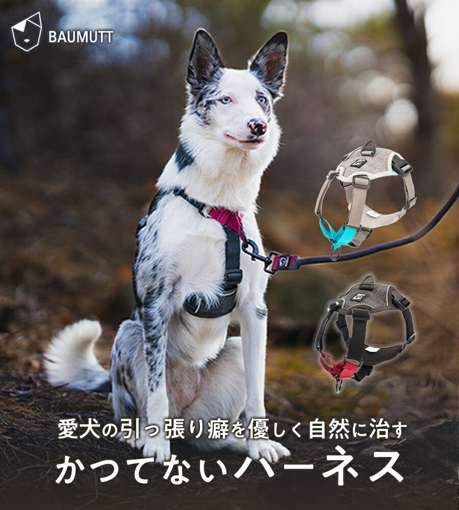 【クーポン利用で10%OFF】 犬 ハーネス 【引っ張り防止特化型ハーネス】 引っ張り防止 大型犬 犬用ハーネス 胴輪 引っ張り癖 散歩 中型犬 超大型犬 引っ張り防止 反射 ソフト おしゃれ かっこいい 中型犬 小型犬 送料無料 BAUMUTT【全額返金保証】 2