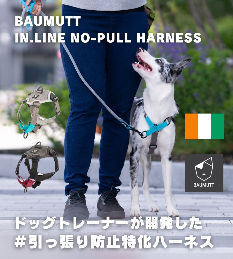 【クーポン利用で10%OFF】 犬 ハーネス 【引っ張り防止特化型ハーネス】 引っ張り防止 大型犬 犬用ハーネス 胴輪 引っ張り癖 散歩 中型犬 超大型犬 引っ張り防止 反射 ソフト おしゃれ かっこいい 中型犬 小型犬 送料無料 BAUMUTT【全額返金保証】 1