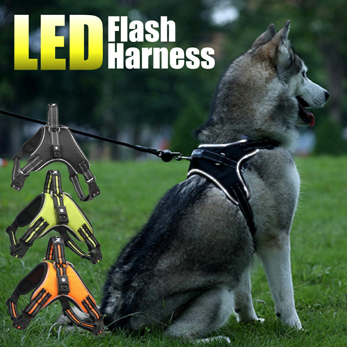 犬 ハーネス 大型犬 LED 光る ライト 点滅 夜道 安全 中型犬 簡単装着 犬用ハーネス 胴輪 パワーハーネス 散歩 超大型犬 引っ張り防止 やわらかい 痛くない 反射 ハンドル付 メッシュ ソフト おしゃれ かっこいい 中型犬 小型犬 充電器付き 送料無料のサムネイル