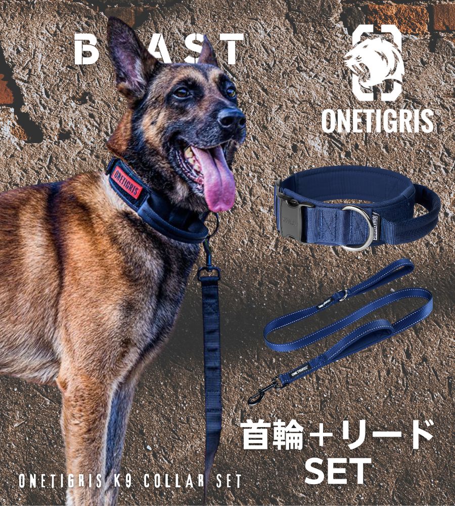 【リード+首輪セット】 犬 首輪 リード 大型犬 OneTigris【正規代理店商品】 おしゃれ かっこいい キャンプ アウトドア 痛くない クッション パッド 負担軽減 抜けない 簡単装着 引っ張り防止 中型犬 オシャレ 散歩 大型犬 全額返金保証のサムネイル