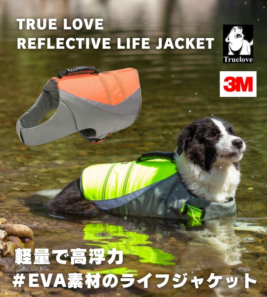 小・中・大型犬用のライフジャケット｜ペットの水遊びにぴったりなおすすめは？