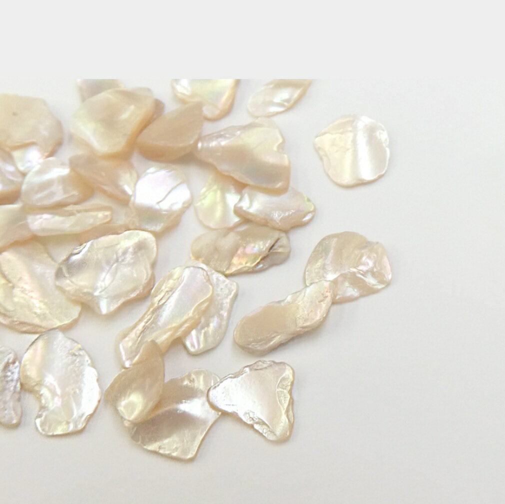 �ͥ��� �ͥ��륷���� �����롡�դ��ꥫ�顼 ���꡼�ߡ������� �ͥ���ѡ��� �ͥ��륷���� 2�� ���꡼�ߡ���� �ߥ륯���顼 ���饭�� �ͥ��륢���� �����ӥ塼�ƥ��� ������ͥ��� �ѡ��� �ǹ��ʼ� ������ͥ��� �ǥ� �ϥ�ɥᥤ�� �쥸�� ��̣ ��� �İ��� �İ���