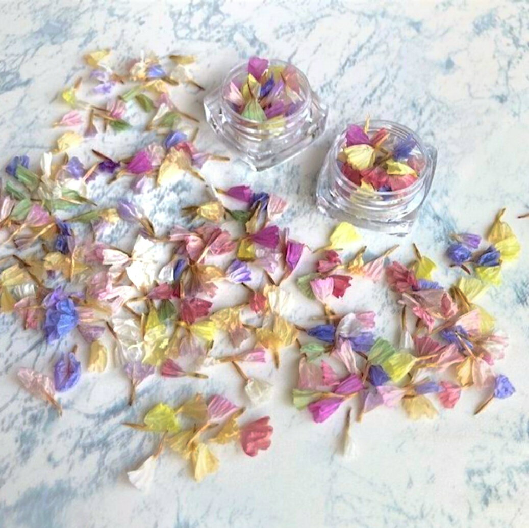 �ڤ��㤤ʪ�ޥ饽��ۥͥ��� �ͥ��륢���� �ͥ���ѡ��� �ɥ饤�ե� 30������ ����ƥ����� �ߥå������顼 �ͥ�����å� �����ȥ��å� �İ��� ��ñ �ϥ�ɥᥤ�� ���������꡼ �ͥ��륢���� �쥸�� �ɥ��å� �ߥå������顼 �İ��� ��̣ ���