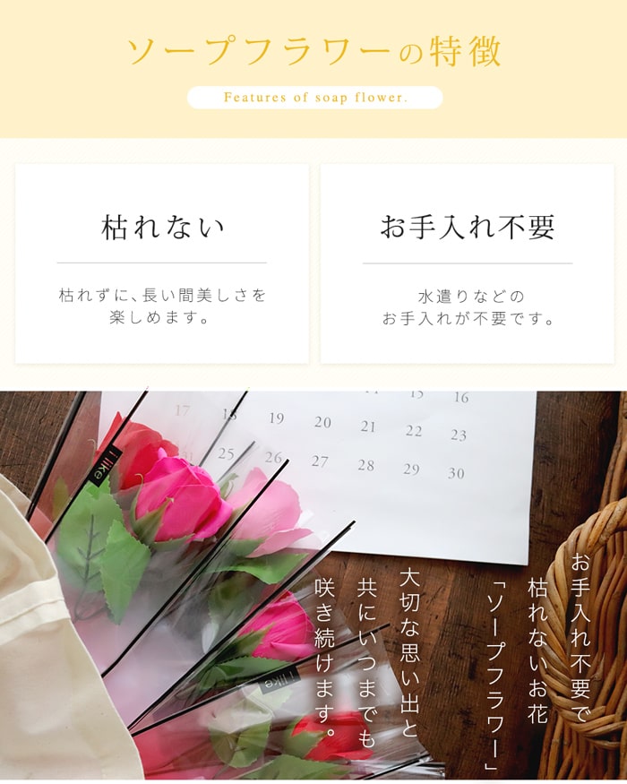 �����ץե� �ץ����ե� ´�� ��ǰ�� �࿦���뺧�� ������ ���� �ץ쥼��� ���ե� �л���ˤ� �� ��« ��ǰ�� ��Ź�ˤ� �ղ��� �࿦�ˤ� 1�إ����ץե� ´�ȼ� ´�༰ ´���� ���ͼ� ���٥�� ���֤� ���� �ѡ��ƥ��� ��쵭ǰ �� PTA ���� ´����