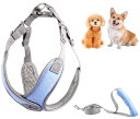 【アップグレード】 S&L 犬 ハーネス リード付き 簡単着脱 反射材 気管に優しい 調整可能 通気性 抜けない 丈夫 安全 つけやすい 軽量 おしゃれ 小型犬 中型犬 (XSサイズ, ブルー)(4)