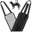 MEUMOTTO 犬 歩行補助ハーネス ベルト型【ドッグトレーナー監修】幅広 メッシュ 洗える 介護 ハーネス 小型犬 中型犬 大型犬 老犬 お腹に食い込まない 優しい設計 (Mサイズ 中/大型犬用)(4)