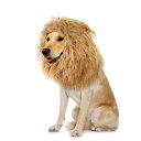 犬のハロウィンコスチューム ライオンに変身 ウィッグ 犬コスチューム 犬用 コスプレ 帽子 大型犬 中型犬 小型犬 変装グッズ ペット服 クリスマス 誕生日 パーティー 仮装グッズ 撮影 サイ