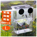 PANASONN 産卵ケース 隔離ケース 多機能 魚 繁殖隔離飼養ボックス メダカ 産卵 水槽 孵化 産卵箱 水族館アクセサリー(4)